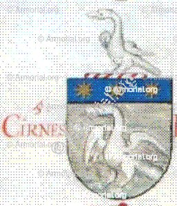 CIRNES o CIRNE