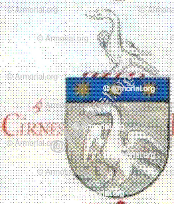 CIRNES o CIRNE_Aveiro_Portugal