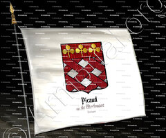 drapeau-PICAUD sgr de MORFOUACE_Bretagne_France (2)