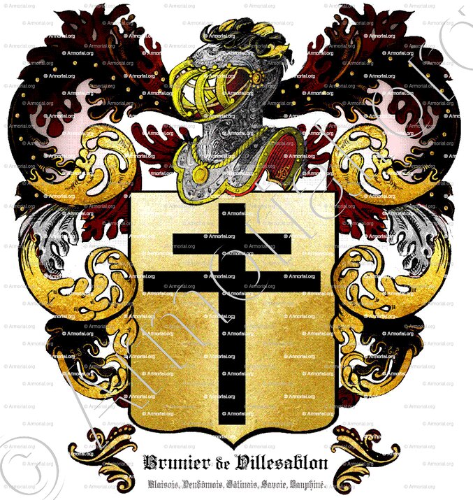 BRUNIER de VILLESABLON_Blaisois, Vendômois, Gâtinais, Savoie, Dauphiné.._France (1)+
