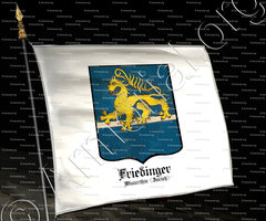 drapeau-FRIEDINGER_Winterthür (Zürich)_Schweiz (Suisse)
