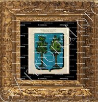 cadre-ancien-or-PROCOPI_Sicilia._Italia ()