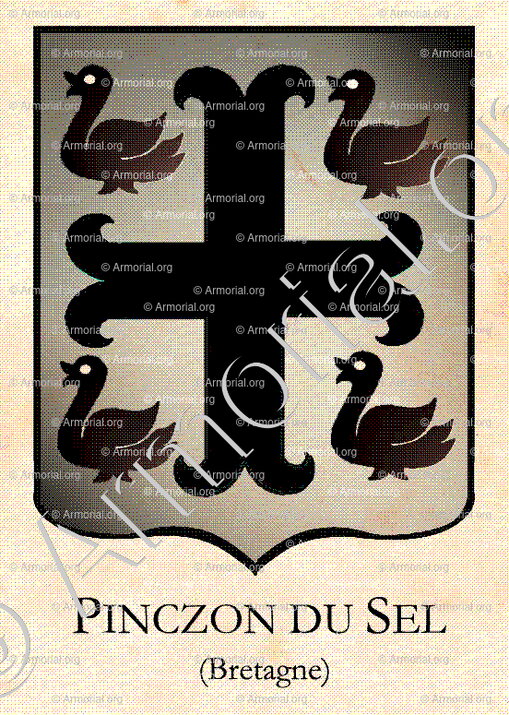 PINCZON  du SEL_Bretagne_France (i)