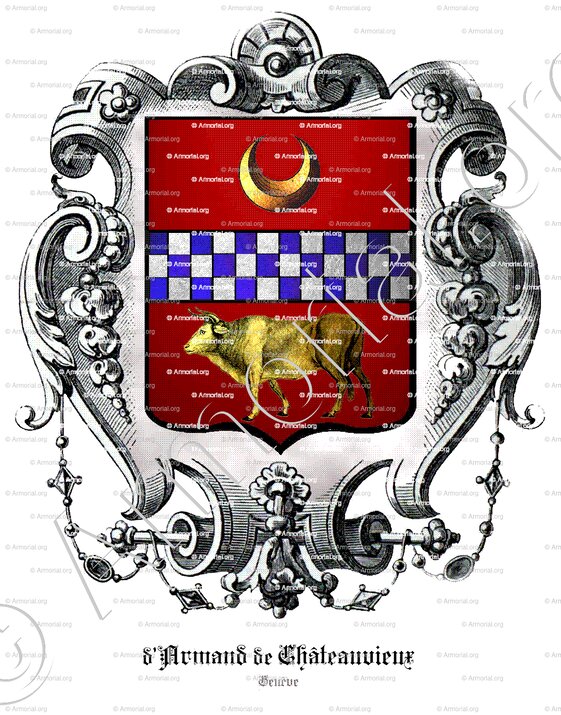 d'ARMAND de CHÂTEAUVIEUX_Genéve_Suisse (1) copie