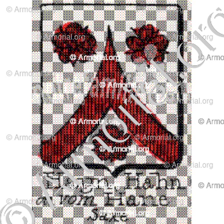 Hayn Hahn ou Vom Hane__