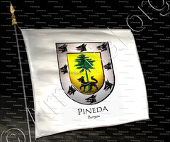 drapeau-PINEDA_Burgos_España (i)