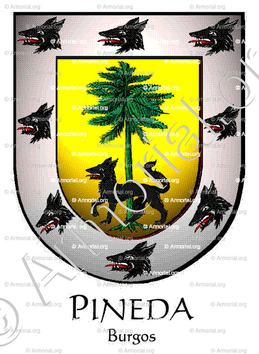 PINEDA_Burgos_España (i)