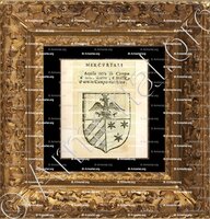 cadre-ancien-or-MERCURIALI_Forli, Romagna._Italia