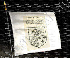 drapeau-MERCURIALI_Forli, Romagna._Italia