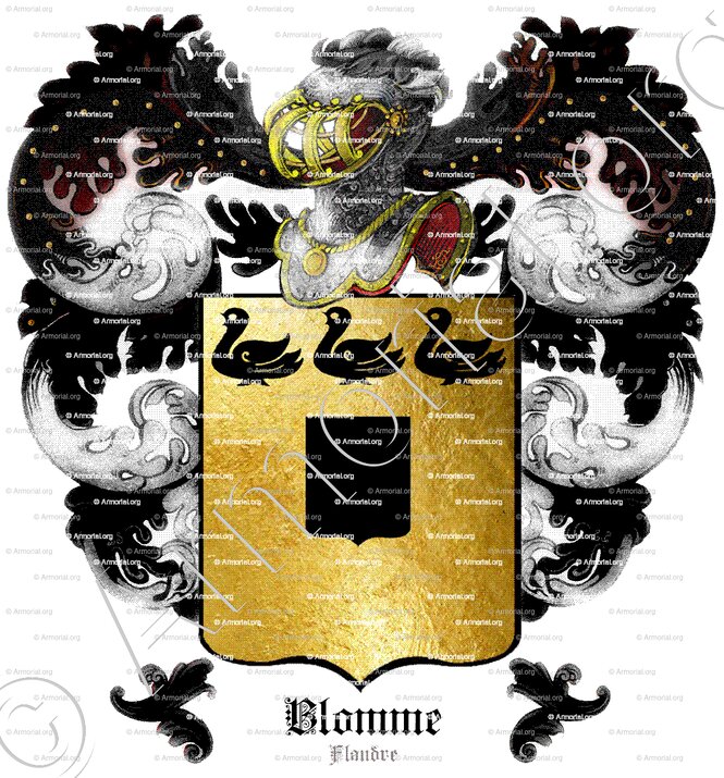 BLOMME_Flandre_France, Belgique (1)
