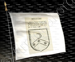 drapeau-MERENDI_Forli, Romagna._Italia