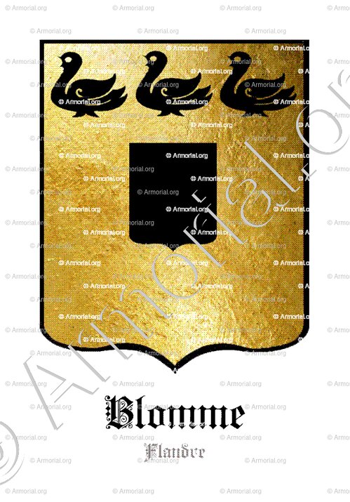 BLOMME_Flandre_France, Belgique (2)