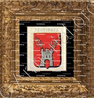 cadre-ancien-or-PROTOPAPA_Sicilia._Italia ()