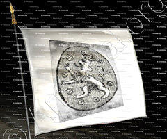 drapeau-T'SERAERT_Antwerpen_België