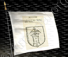 drapeau-MERLINI_Forli, Romagna._Italia