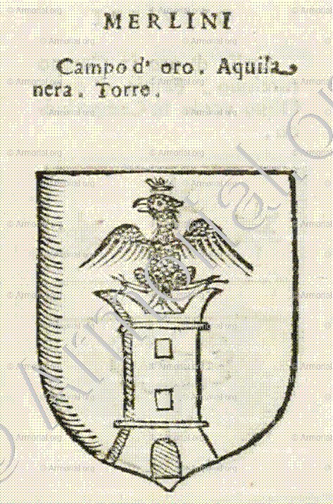 MERLINI_Forli, Romagna._Italia