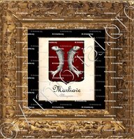cadre-ancien-or-MARLIAVE_Albigeois_France