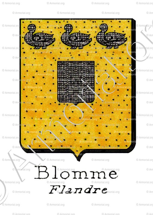 BLOMME_Flandre_France, Belgique (3)