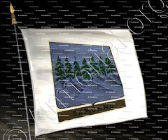 drapeau-SAMOENS_Ancien Duché de Savoie_États de Savoie