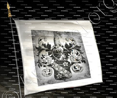 drapeau-VAN DEN HOVE_Vlaams-Brabant, Antwerpen._België