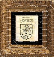 cadre-ancien-or-MONSIGNANI_Forli, Romagna._Italia