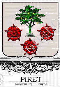 PIRET