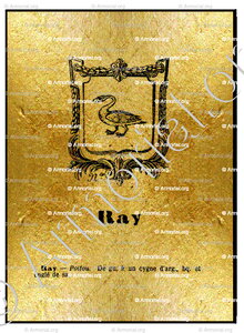 RAY