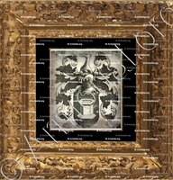 cadre-ancien-or-VAN DER GOES_Antwerpen, Gent, Brugge._België