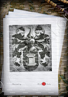 velin-d-Arches-VAN DER GOES_Antwerpen, Gent, Brugge._België