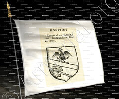 drapeau-MORATINI_Forli, Romagna._Italia