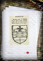 velin-d-Arches-MORELLI_Forli, Romagna._Italia