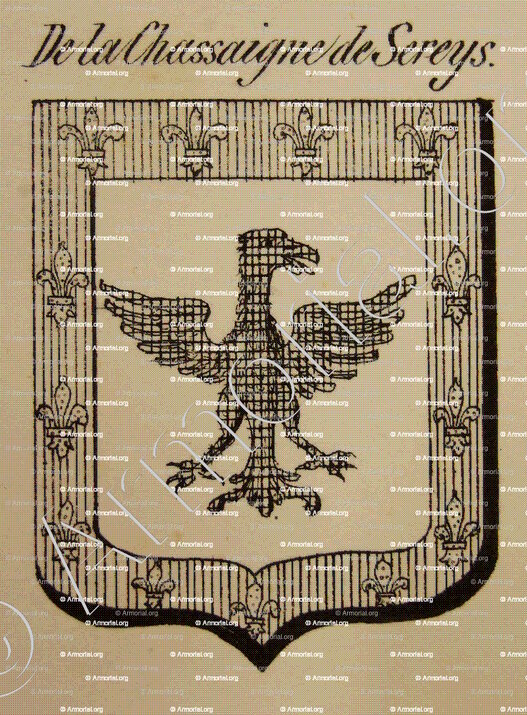 DE LA CHASSAIGNE DE SEREYS_Auvergne_France