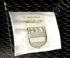 drapeau-MUCCOLINI_Forli, Romagna._Italia