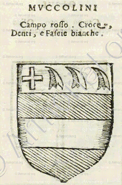 MUCCOLINI_Forli, Romagna._Italia