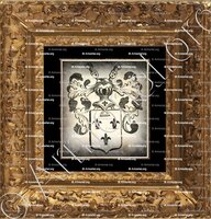 cadre-ancien-or-VAN LIERE_Antwerpen_België