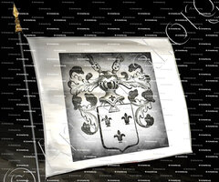 drapeau-VAN LIERE_Antwerpen_België