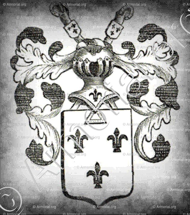 VAN LIERE_Antwerpen_België