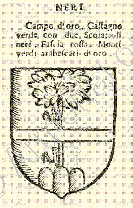 NERI_Forli, Romagna._Italia