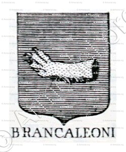 BRANCALEONI