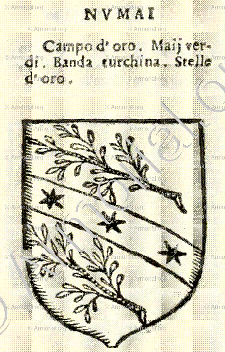 NUMAI_Forli, Romagna._Italia