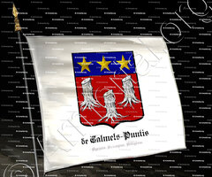 drapeau-de CALMELS-PUNTIS_Agenais, Armagnac, Albigeois_France