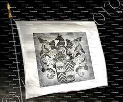 drapeau-VANDE WERVE_Antwerpen, Gent._België