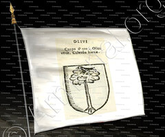 drapeau-OLIVI_Forli, Romagna._Italia