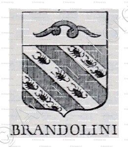BRANDOLINI