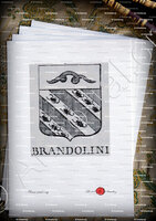 velin-d-Arches-BRANDOLINI_Incisione a bulino del 1756._Europa
