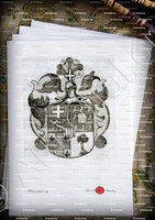 velin-d-Arches-Franciscus LOPES FRANCO y FEO_Margraviate d'Anvers, 1678_Belgïe ()