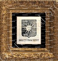cadre-ancien-or-BREITONACHERI_Incisione a bulino del 1756._Europa