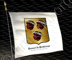 drapeau-LOUVART de PONTLEVOYE_Bas-Poitou, Bretagne Normandie_France