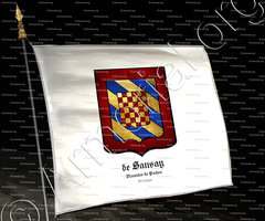 drapeau-de SANSAY Vicomtes de Poitou_Bretagne_France (2)