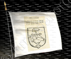 drapeau-ORCEOLI_Forli, Romagna._Italia